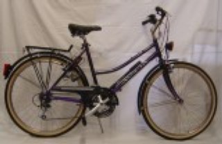  Citybike kaufen: ALPINA Country Neu