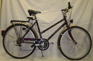  Vélo urbain kaufen: ALPINA Colorado Nouveau
