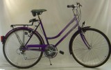 Bikes Citybike ALPINA Country