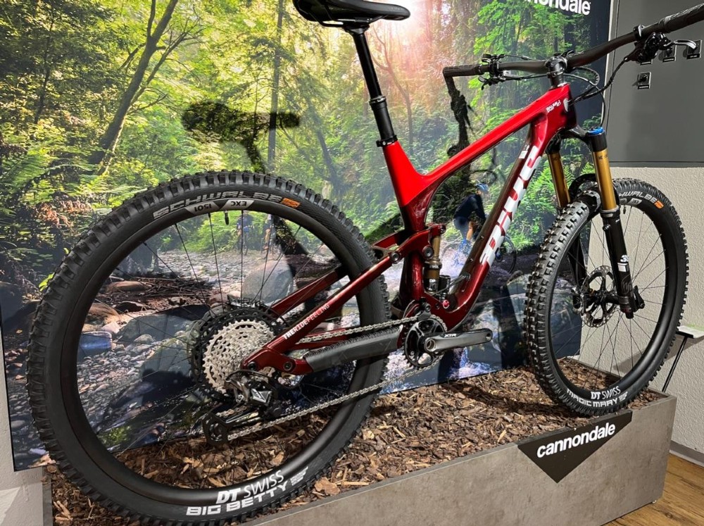 Mountainbike kaufen: BIXS Lane X Neu