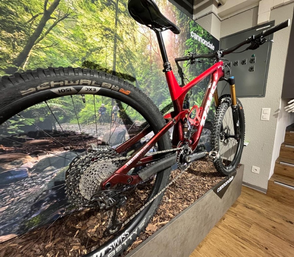 Mountainbike kaufen: BIXS LANE X Testvelo