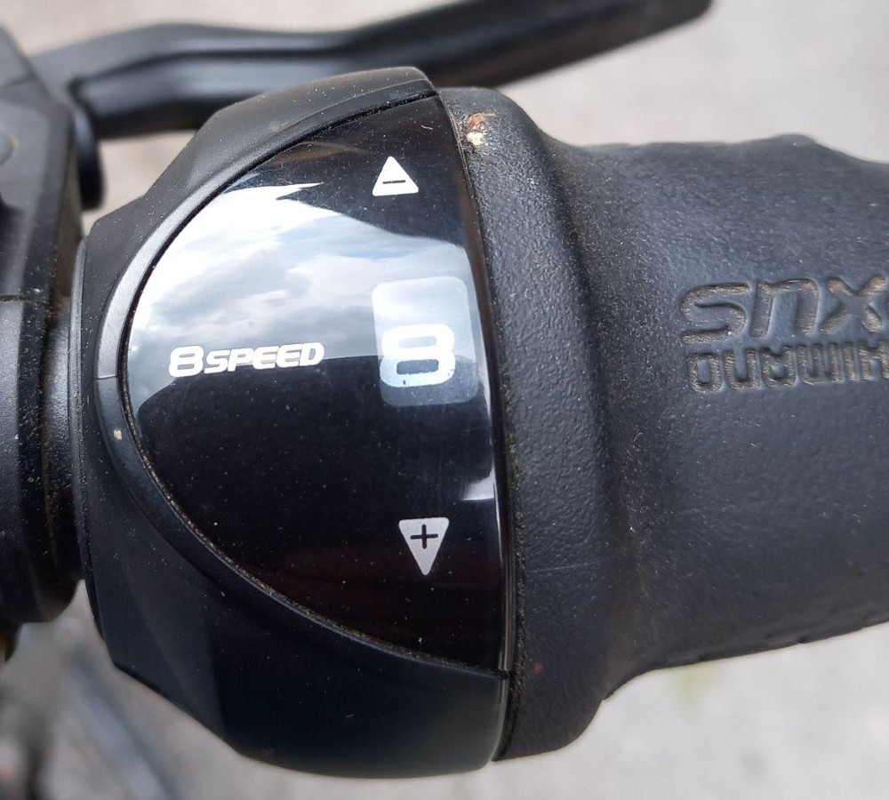 E-Bike kaufen: RALEIGH E-line Occasion