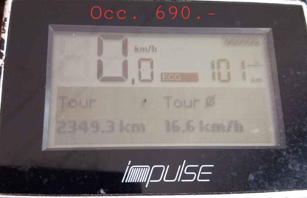 E-Bike kaufen: RALEIGH E-line Occasion