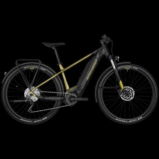 e-Bikes Mountainbike BERGAMONT E-Revox 4 EQ / 286770