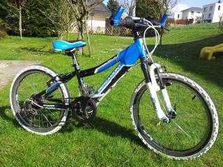  Mountainbike kaufen: BERGAMONT Team Junior  Occasion