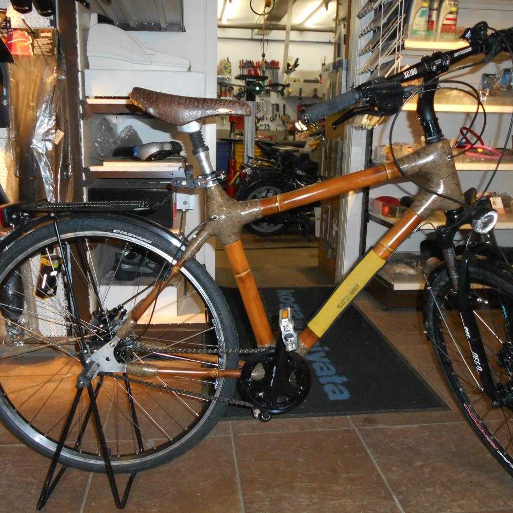 Vélo urbain kaufen: INCONNUE Bambus Express Vélo de test