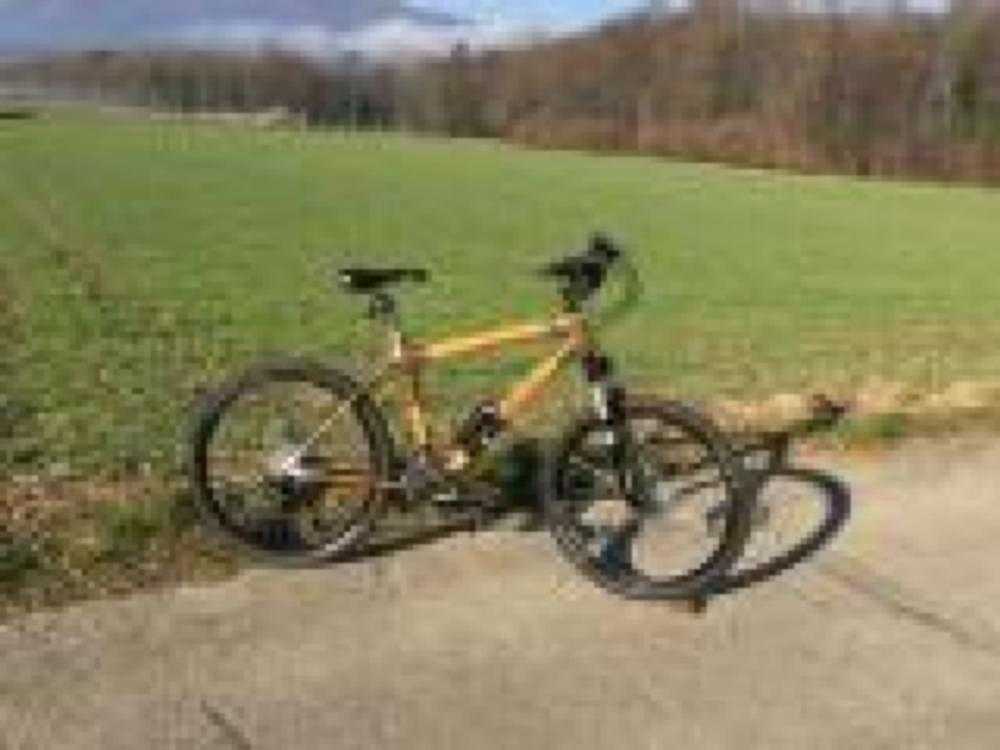 Citybike kaufen: BAMBOOCYCLE Brown Cycle Testvelo