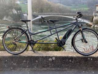 E-Bike kaufen: GEPIDA Thoris Nouveau