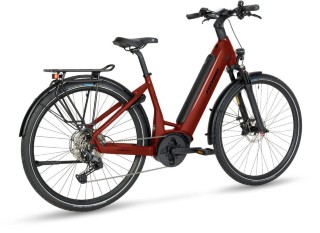 E-Bike kaufen: STEVENS E-Triton 6.6.1 Neu