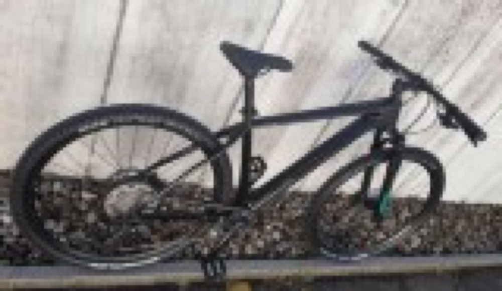 Mountainbike kaufen: BULLS Bushmaster 29 RS Neu