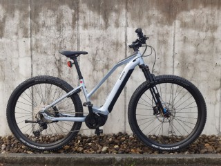 E-Bike kaufen: BIXS Access E20 Gor Neu