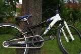 Bikes Mountainbike GT Pumptrack Bike