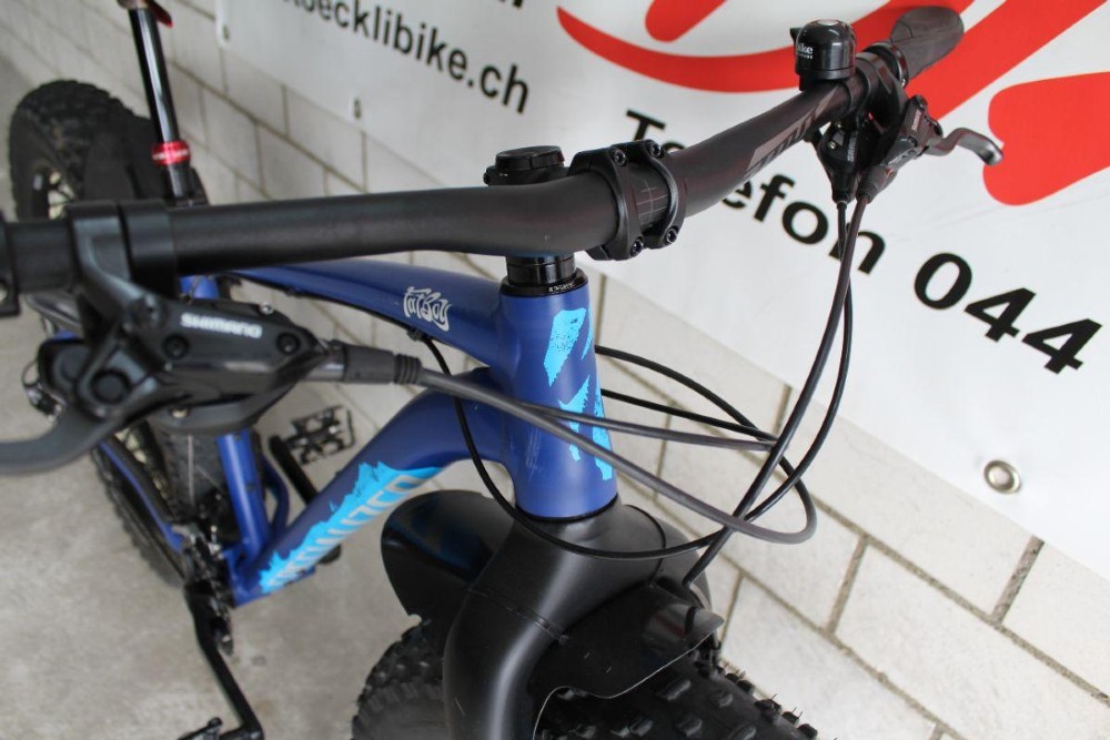 Fatbike kaufen: SPECIALIZED Fatboy SE Occasion