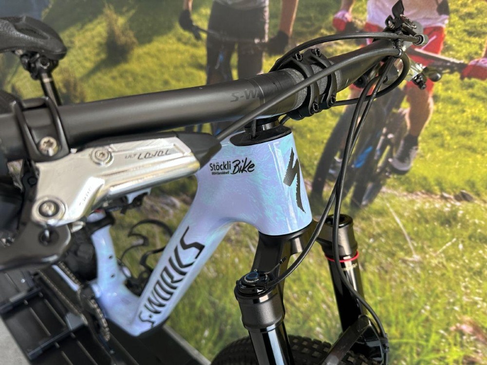 Mountainbike kaufen: SPECIALIZED S-Works Epic 8 Occasion