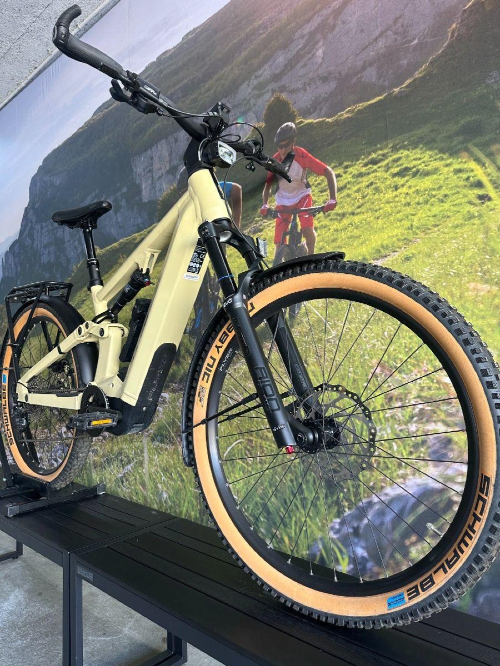 E-Bike kaufen: FLYER Goroc X 4.10 FS Occasion