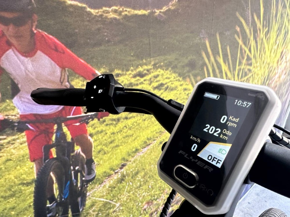E-Bike kaufen: FLYER Upstreet5 5.10 Mixed Occasion