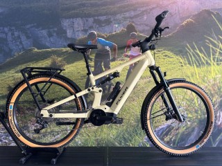 E-Bike kaufen: FLYER Goroc X 4.10 FS Occasion