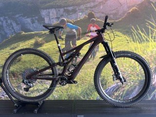  Mountainbike kaufen: SPECIALIZED Stumpjumper EVO Pro Occasion