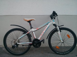  Kindervelo kaufen: GHOST Powerkid 24 Occasion