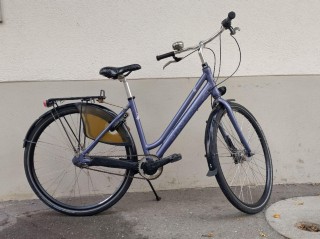  Citybike kaufen: TREK Rome Occasion