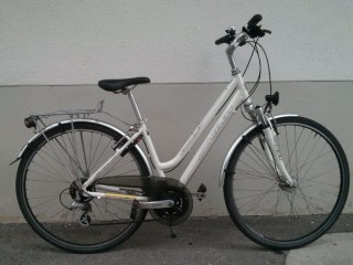Bikes Citybike WHEELER Ecorider 2.1