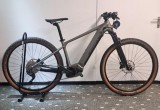 e-Bikes Mountainbike BERGSTROM XCV 729