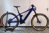 e-Bikes Mountainbike BERGSTROM AXV 829