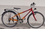 Bikes Kindervelo TREK 800 Sport