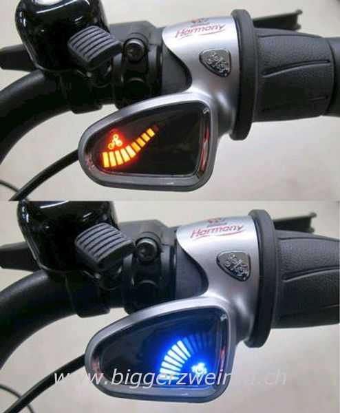 E-Bike kaufen: FLYER B12 HARMONY Testvelo