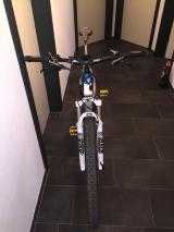 e-Bikes Mountainbike HAIBIKE XDURO RX 29