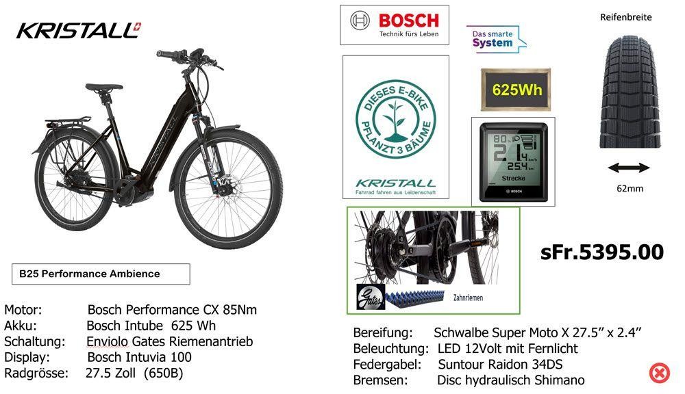 E-Bike kaufen: KRISTALL B-25-Performance Neu