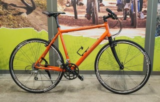  Crossbike kaufen: BERGAMONT Platinum Speeed Occasion