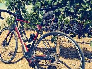 Rennvelo kaufen: SIMPLON Pavo Granfondo Disc Testvelo