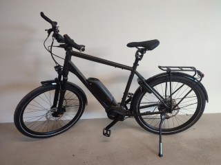 e-Bikes Citybike DIAMANT Zing Deluxe+