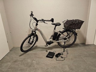 e-Bikes Citybike FLYER Gotour4 5.00