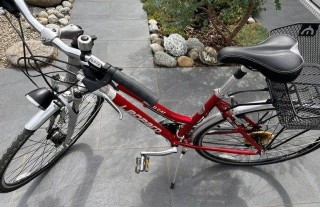 Bikes Vélo urbain LEOPARD Road Cat