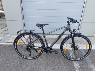  Citybike kaufen: TREK Dal Sport 3 EQ Neu