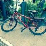 Bikes Mountainbike GIANT Rincon