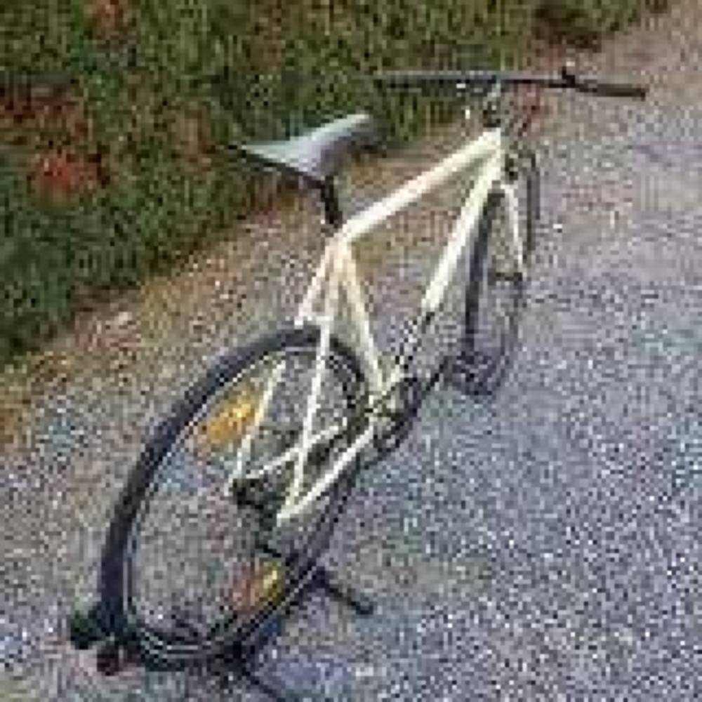 scott singlespeed