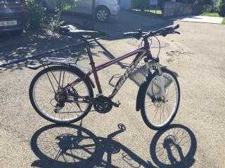  Mountainbike kaufen: BIXS Mariposa 620 violett Grösse 17'' Occasion