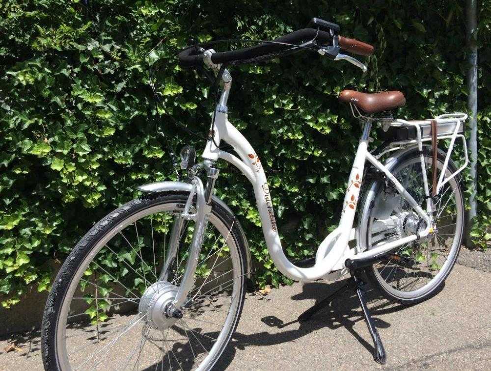 E-Bike kaufen: E-BIKE Dutchebike Mama Nouveau