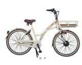 e-Bikes Citybike E-BIKE Dutchebike Cargo