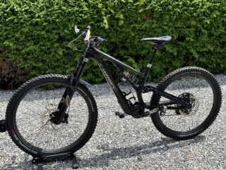  Mountainbike kaufen: SPECIALIZED Stumpjumper Evo S-Works S2 Occasion