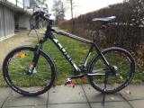 Bikes Mountainbike CUBE Acid