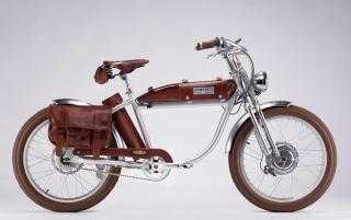 E-Bike kaufen: E-BIKE Ascot Neu