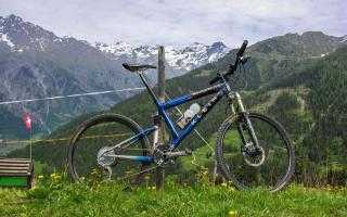  Mountainbike kaufen: KLEIN Palomino XX Occasion