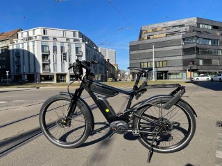 e-Bikes Tourenvelo RIESE & MÜLLER Delite GT Touring