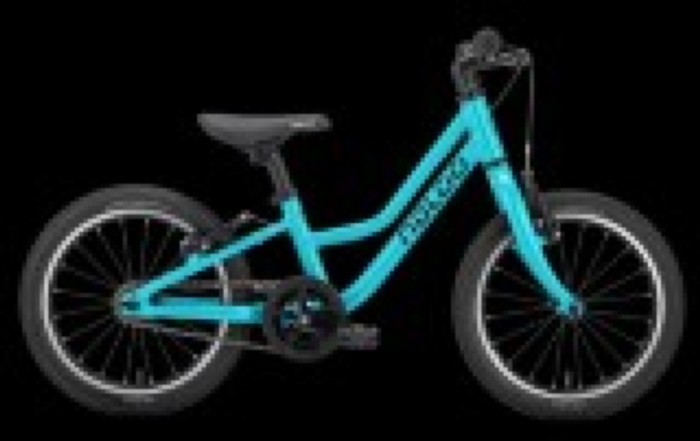 Kindervelo kaufen: NALOO  Chameleon MK2 16 Zoll Neu