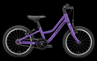 Bikes Vélo pour enfants NALOO Chameleon MK2 16 Zoll