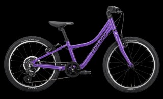  Vélo pour enfants kaufen: NALOO   Chameleon MK2 20 Zoll Nouveau